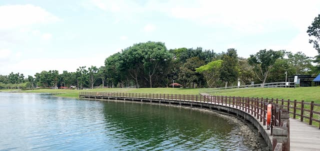Bedok